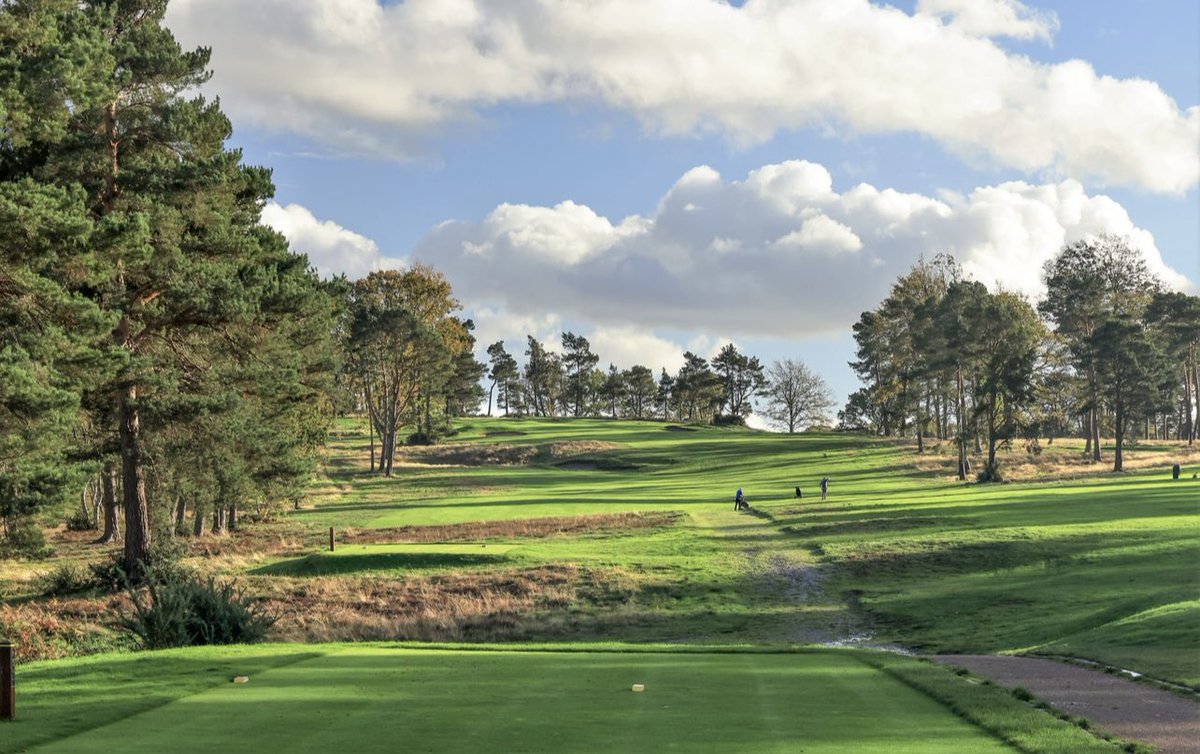 See the heathland restoration at <a href="/TheAddingtonGC/">The Addington</a>   After decades of smothering by encroaching trees. ‘After is always better’