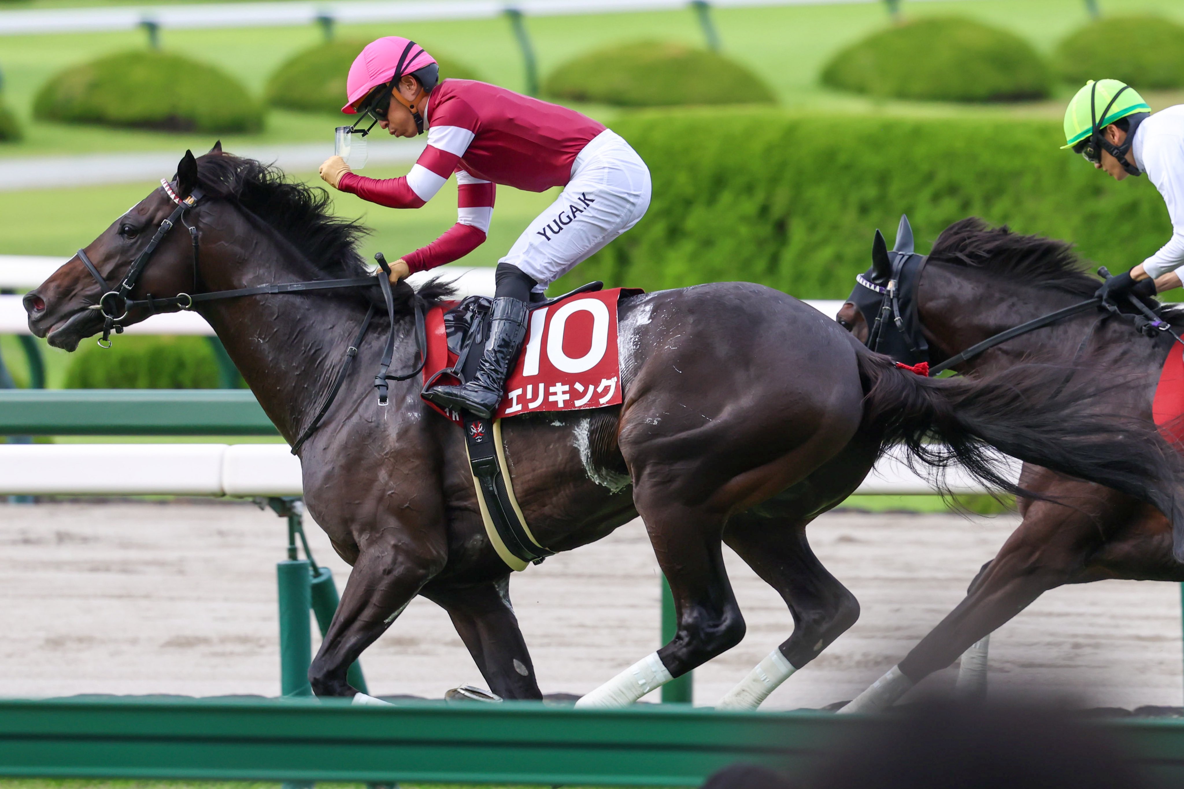 【中古】 こんな本命馬はカンタンに消える 実証！荒れるレースの見分けかた・狙いかた/リヨン社/誉田強 しえる (@T0Bao) / X
