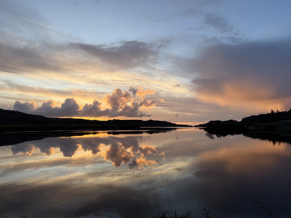 Lynette Murphy tweet media