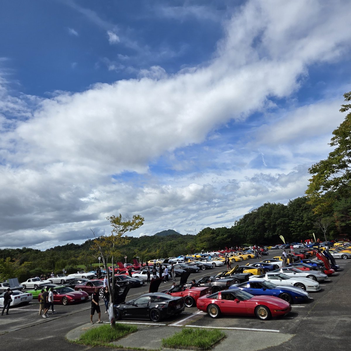 koba6666taku's tweet photo. ノンさん、1or8の皆様のお疲れさまでした!
壮大な数のCORVETTE見れてとても楽しめました🙇♂️
元カノ?にも会えて嬉しかったです😍😳
来年は日本一期待してます😂🤫
ノンさん3日間お世話になりましたm(__)m
#CLJMで会いました
#CLJM
#CORVETTE
#コルベット https://t.co/drkGBZMMWD