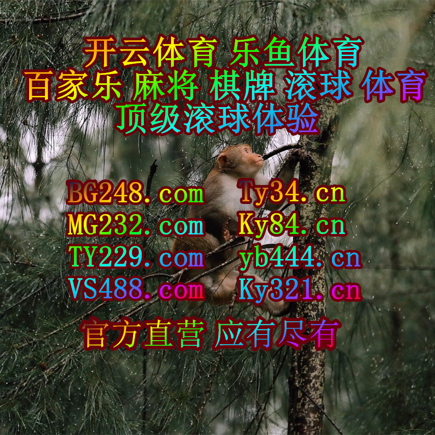 _dudaasilva2's tweet photo. ♑🐂🅰🐊🦨 
星空⚠万博
488体育❤百人牛牛
神龙碎片👓幸运快三 https://t.co/kYrZ9nNJXe
