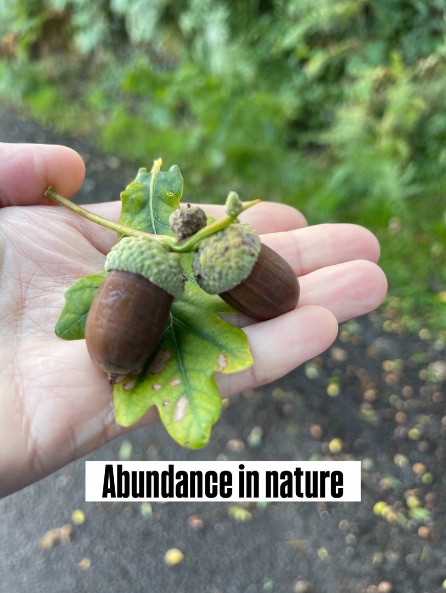 JackdawEco's tweet photo. go out on your own 
in nature, in silence,  
be still and listen ... https://t.co/1oVGb9KiQ6