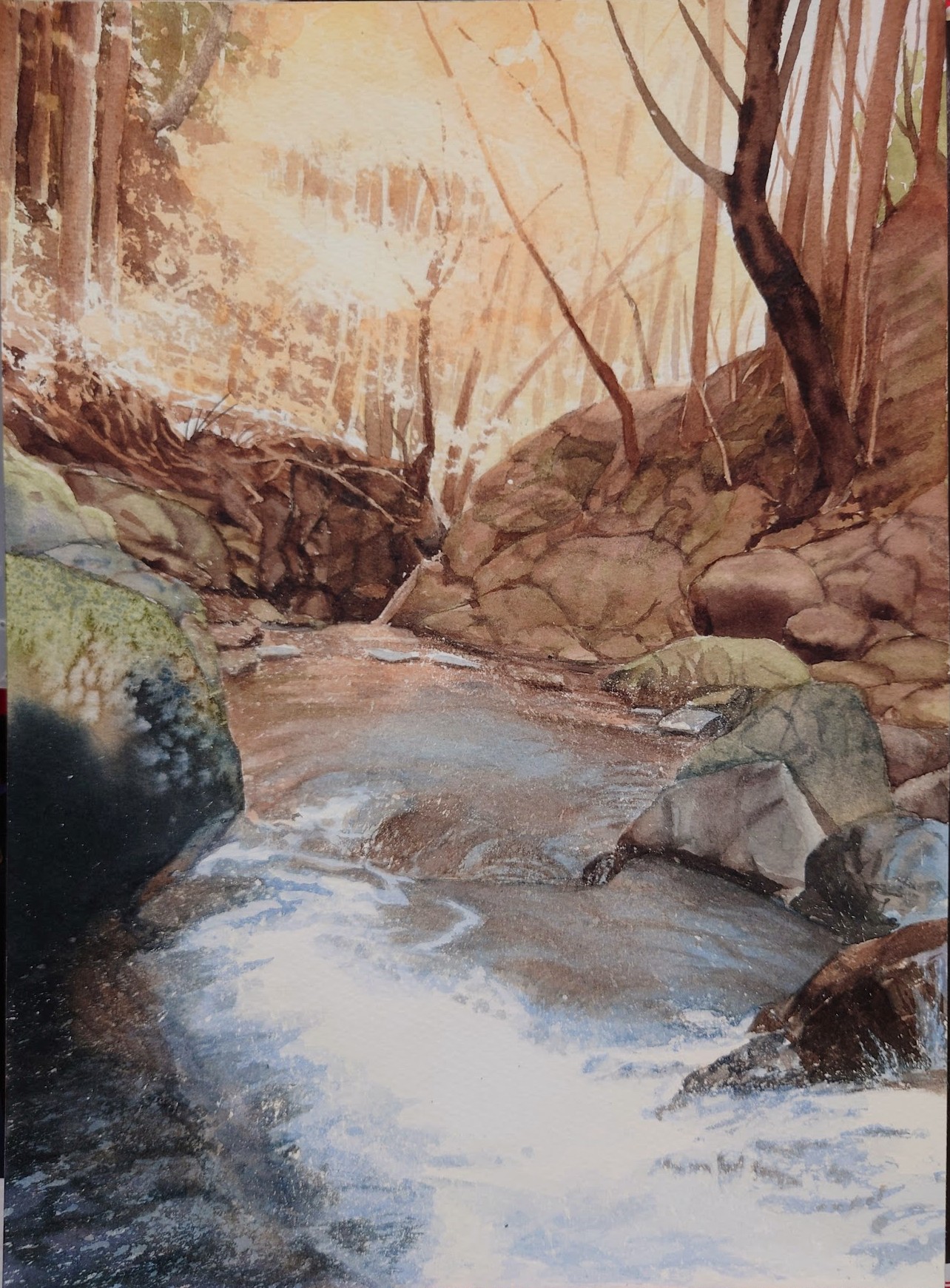 小林啓子水彩 (@JWS40298874) / X