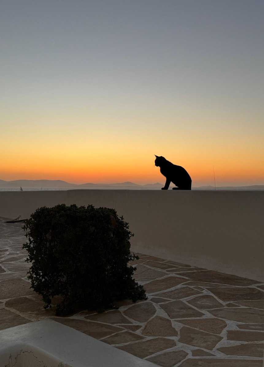 Mathieu Orphanides tweet media