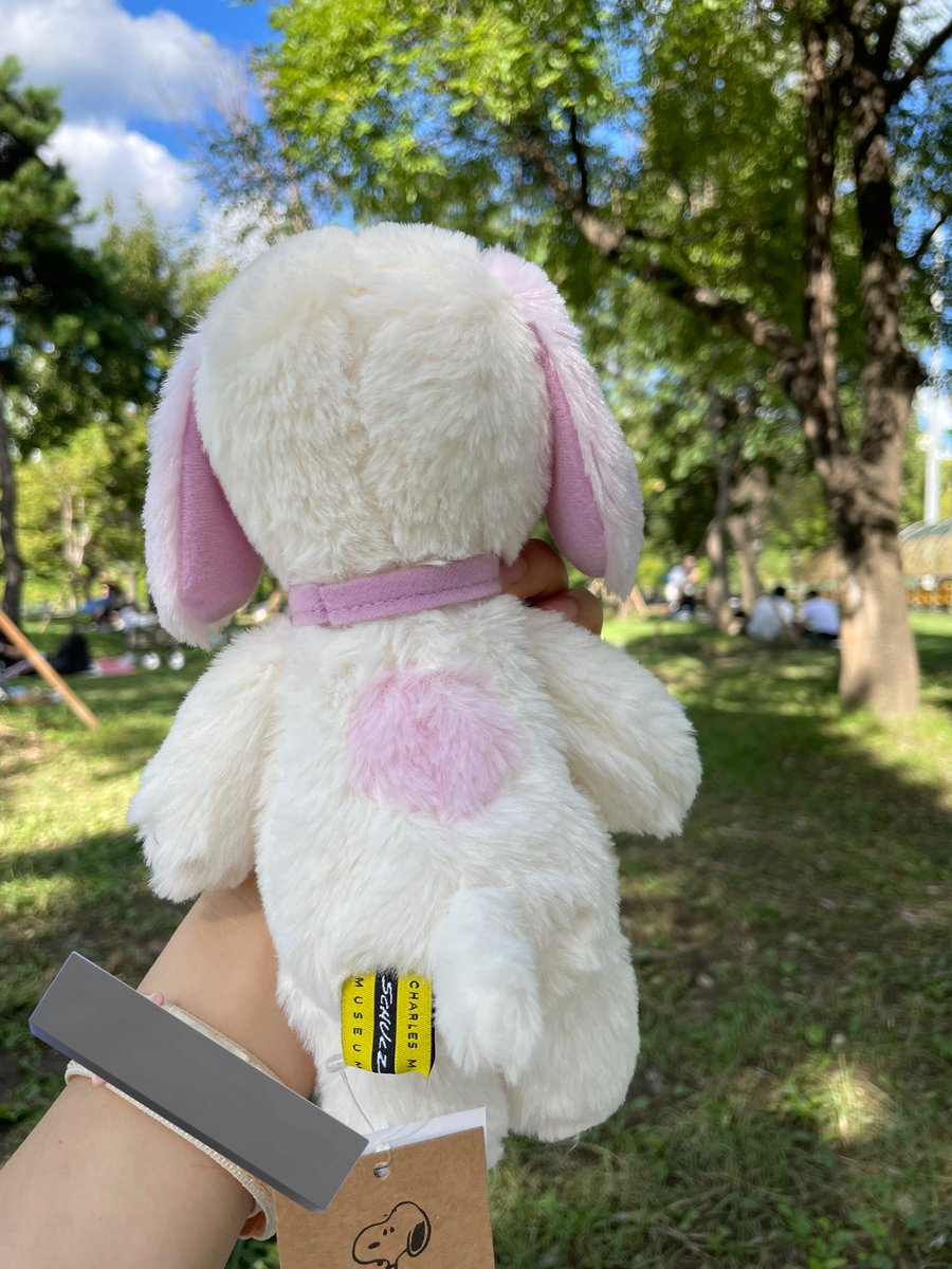 andrigoai's tweet image. 스누베리 등에 점 잇은 거 보고 개크게 소리지름…