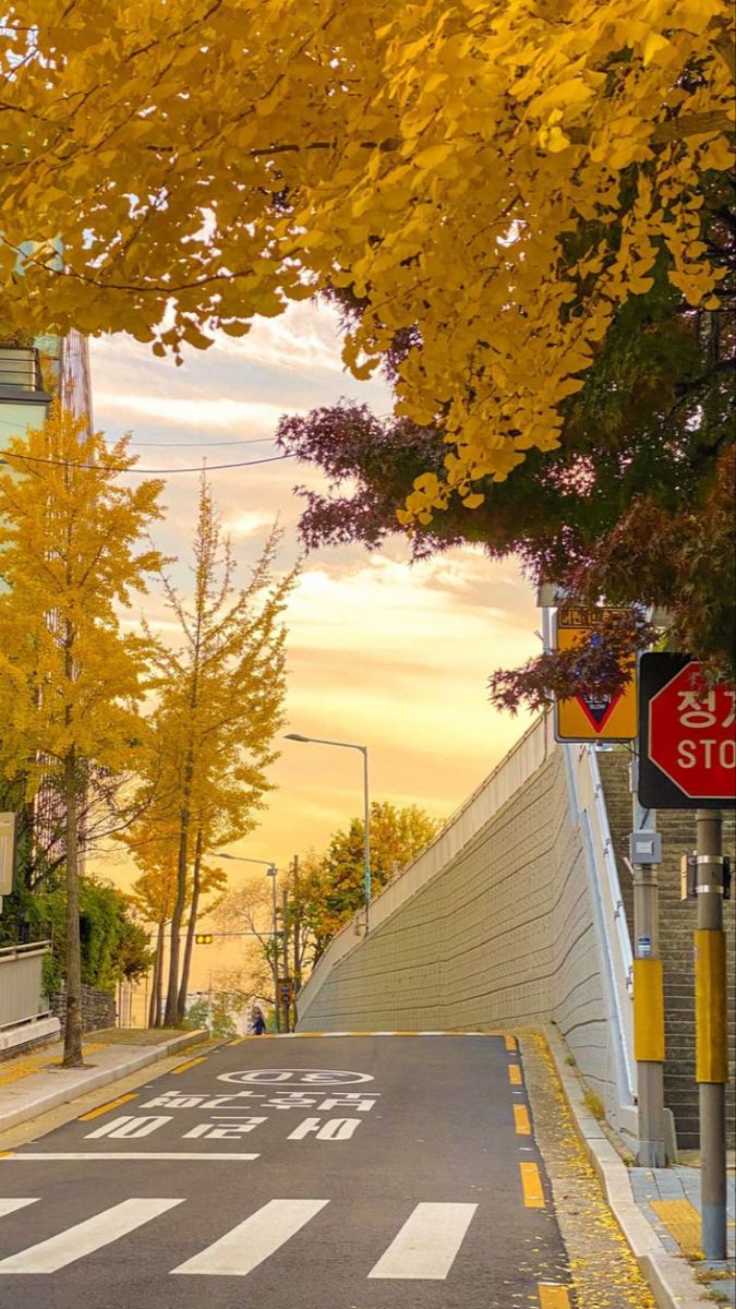 사주영 (@sjmnewf0b0ms02) on Twitter photo 