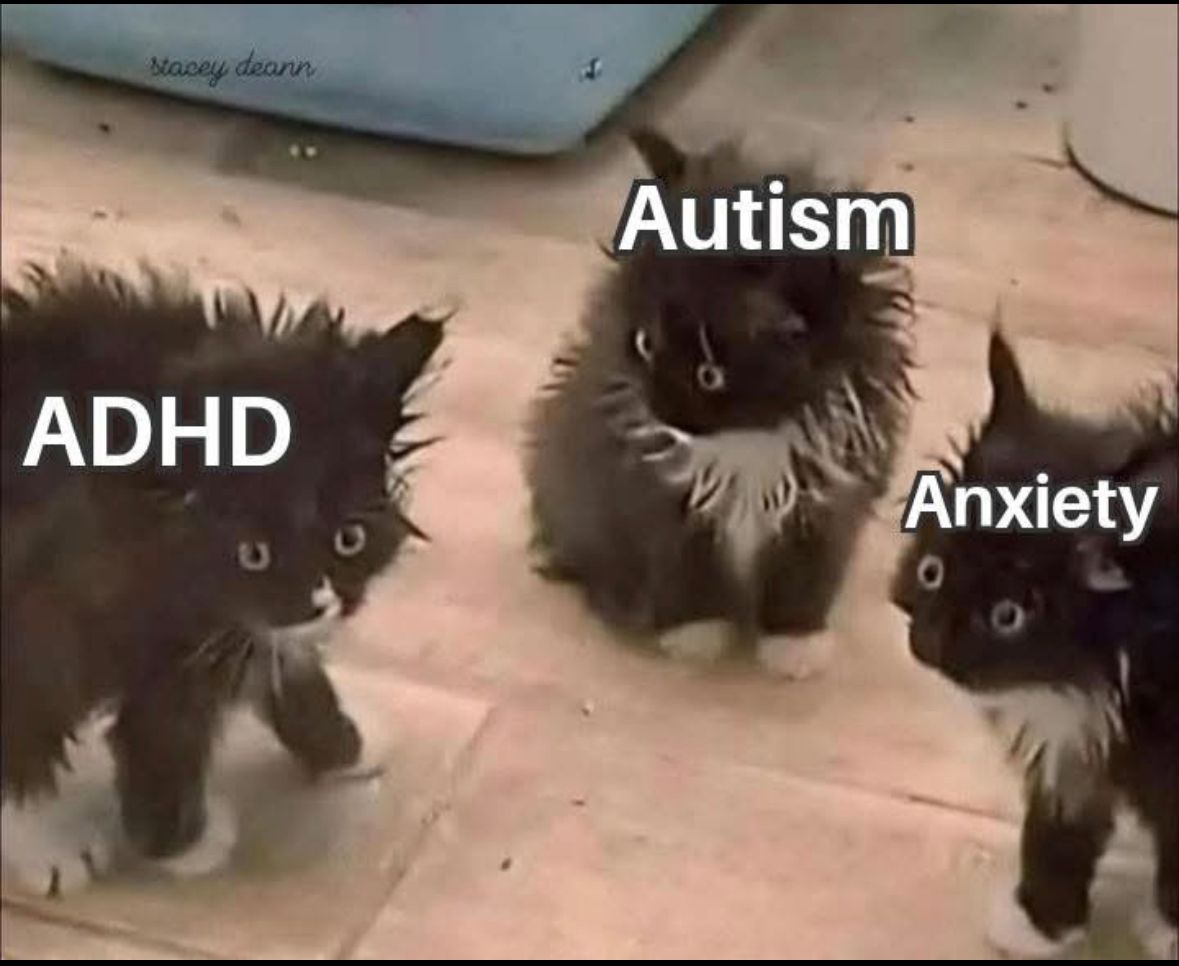 ADHD Memes (@adhdforreal) on Twitter photo 