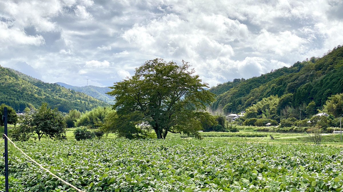 森の学校ファンの皆様が、ロケ地めぐりをしてくださることで、丹波篠山の自然が放置されず美しく保たれます。

ぜひこれからも、映画の世界を残す
丹波篠山へ時々遊びに来てください😊