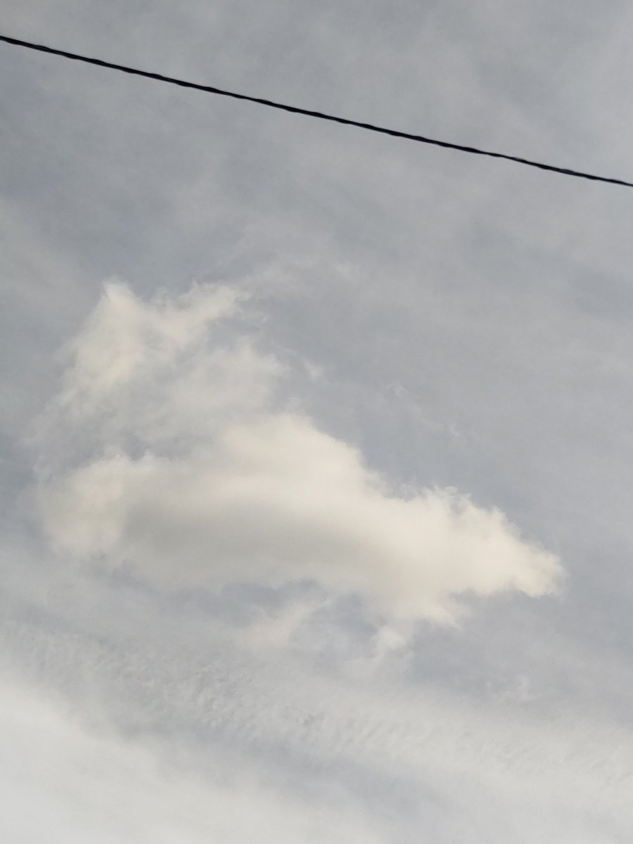 kenktm0503's tweet image. 🐿️リス雲

右下向きのリスの全身には
見えない・・・かな❔🐿️

＃南の空
＃リス雲
