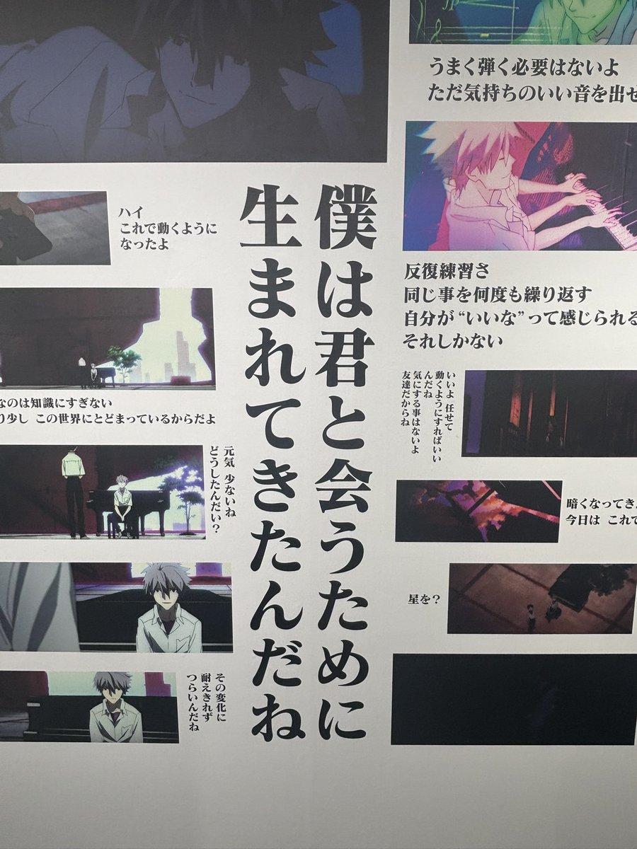 メ tweet media