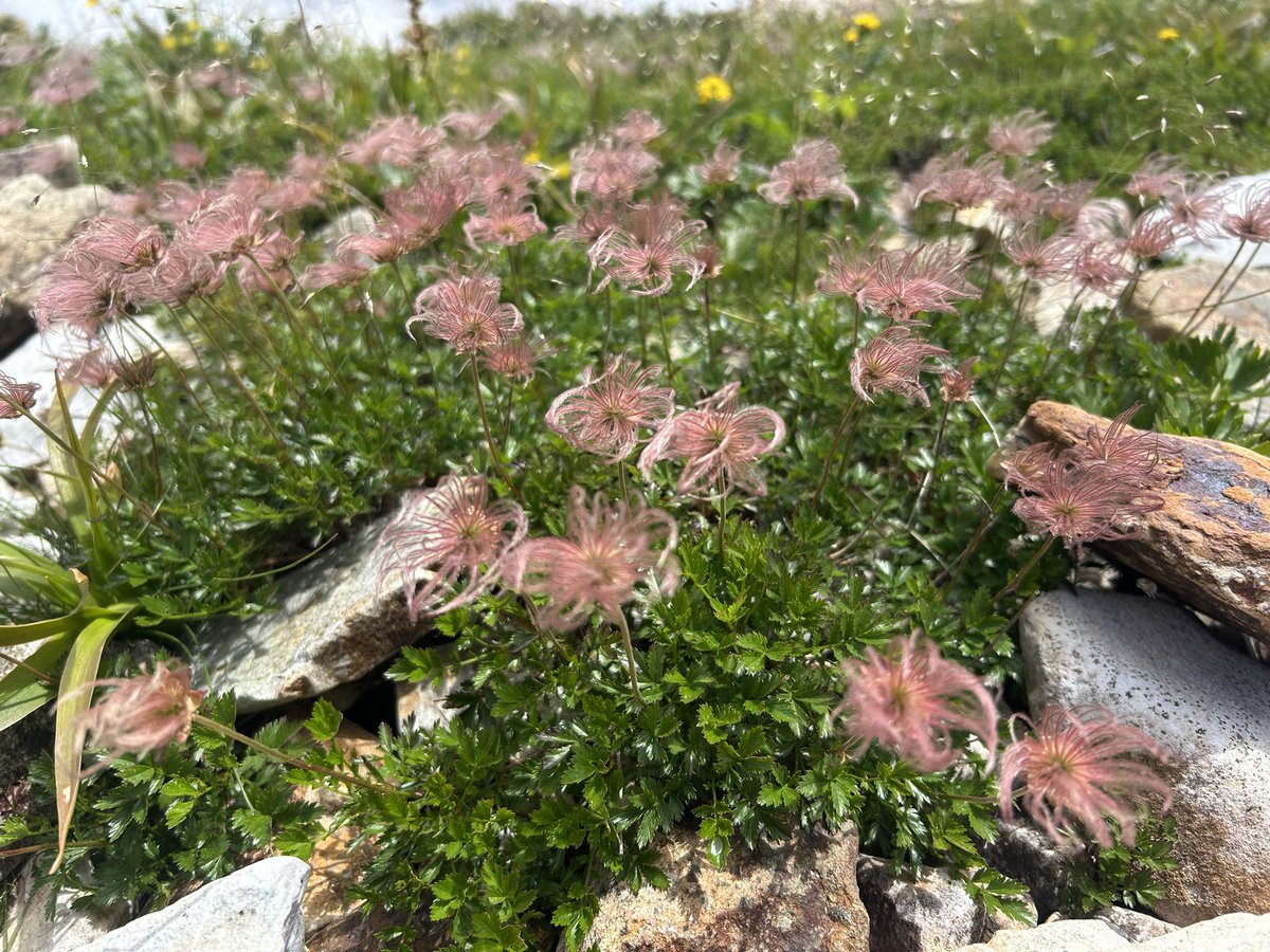 自由な時間は
あっという間だね
何もしなくてもも
楽しくても
過ぎて行く時間
終わりたくない
時間もあるね