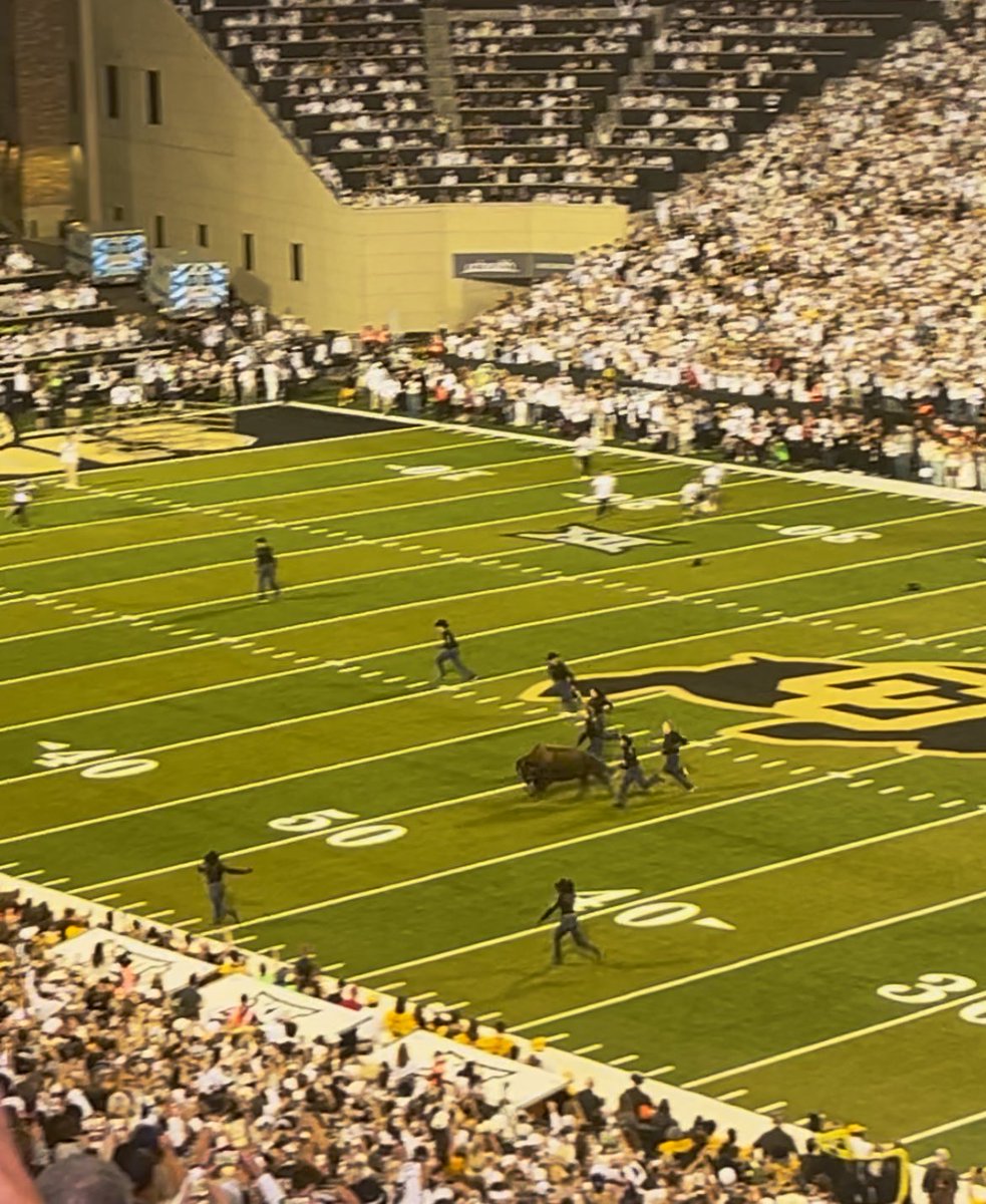 urman's tweet image. #HappyHomecoming #DoYouRemember