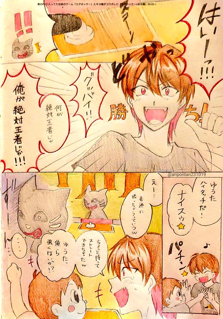 🌞ぽんた🐱🌞 tweet media