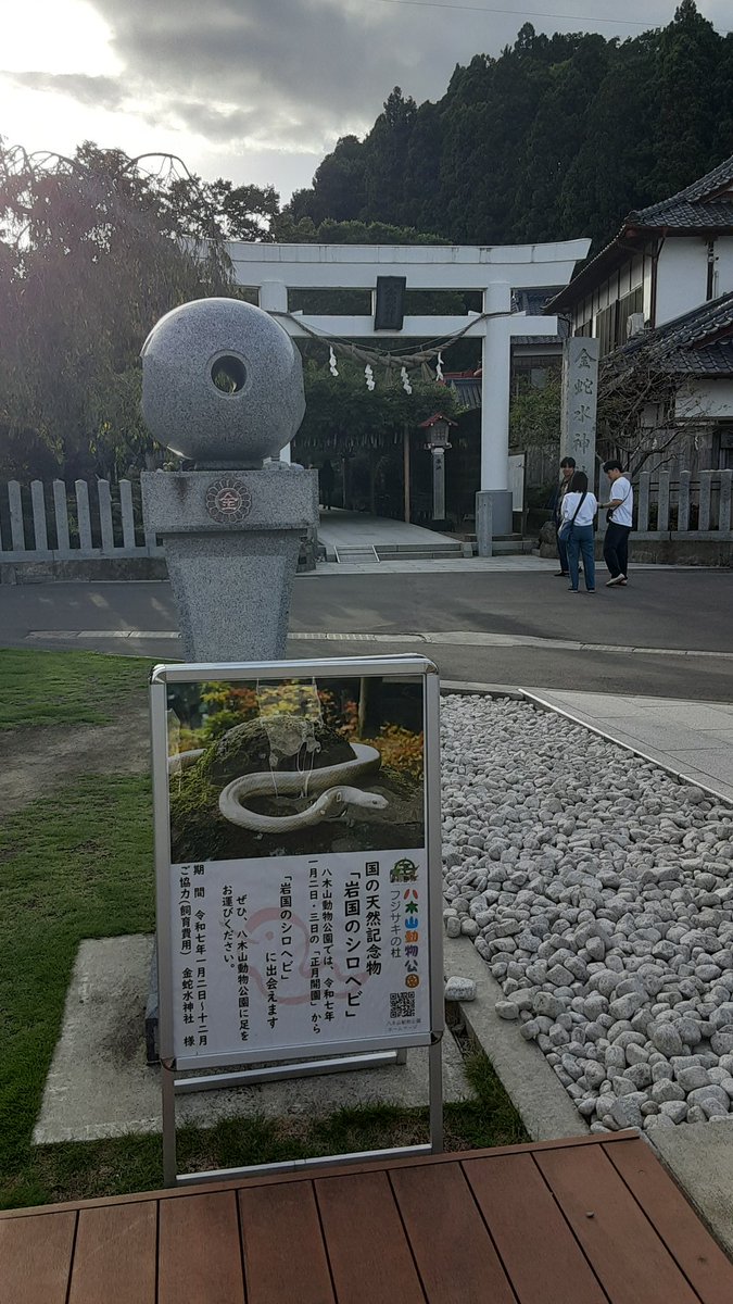 蛇石 金運上昇‼️勾玉型✡️金蛇石✡️ 蛇石 金運上昇‼️勾玉型✡️金蛇石✡️