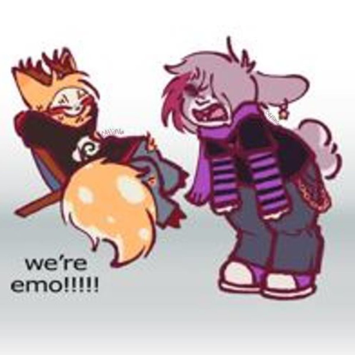 catlas :3 tweet media