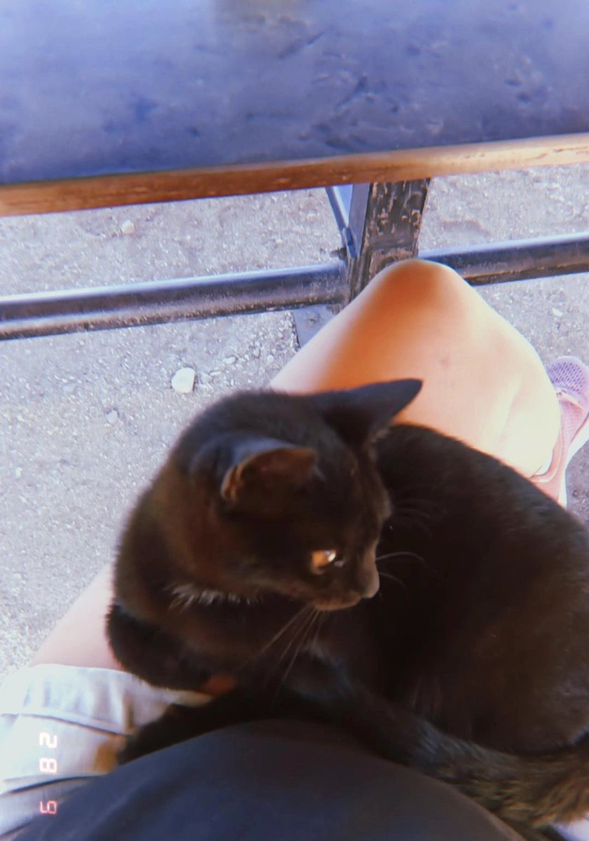 ...ikiye bölünmüş bir bütün gibi yaşadım
bir yanım öbür yanıma düşman
sağımda kızgın kumlar gezdirdim
solum üşüyor eski bir anıdan.
#birhankeskin
#pazar