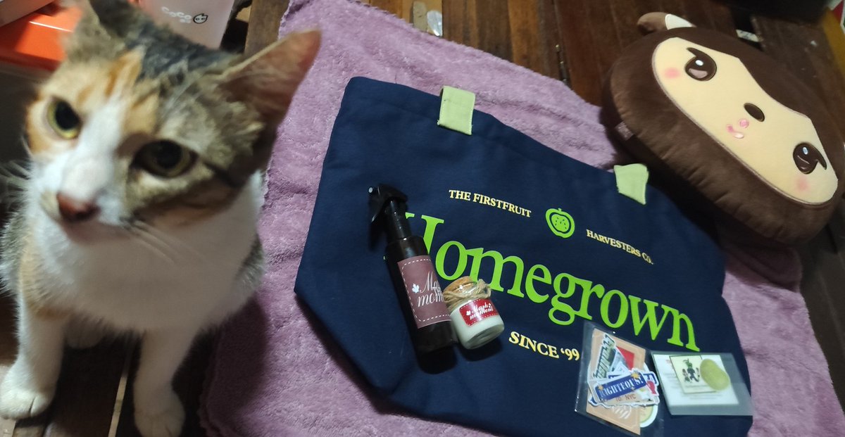 saehayanbam's tweet image. surprise parcel from @fruitsof82 💝 always happy to be budol-ed for a cause 🥹🫶🏻💖✨