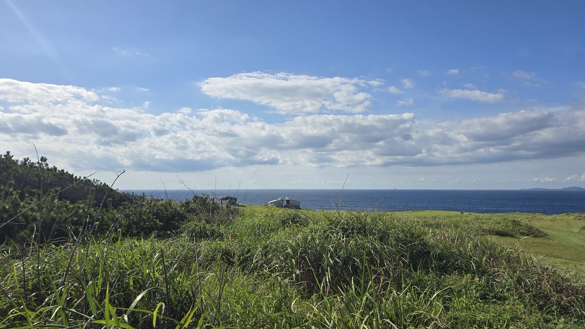 뷰가 개사기야..