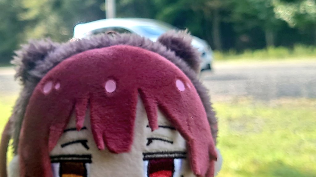 ひょっこりクマリン☺️