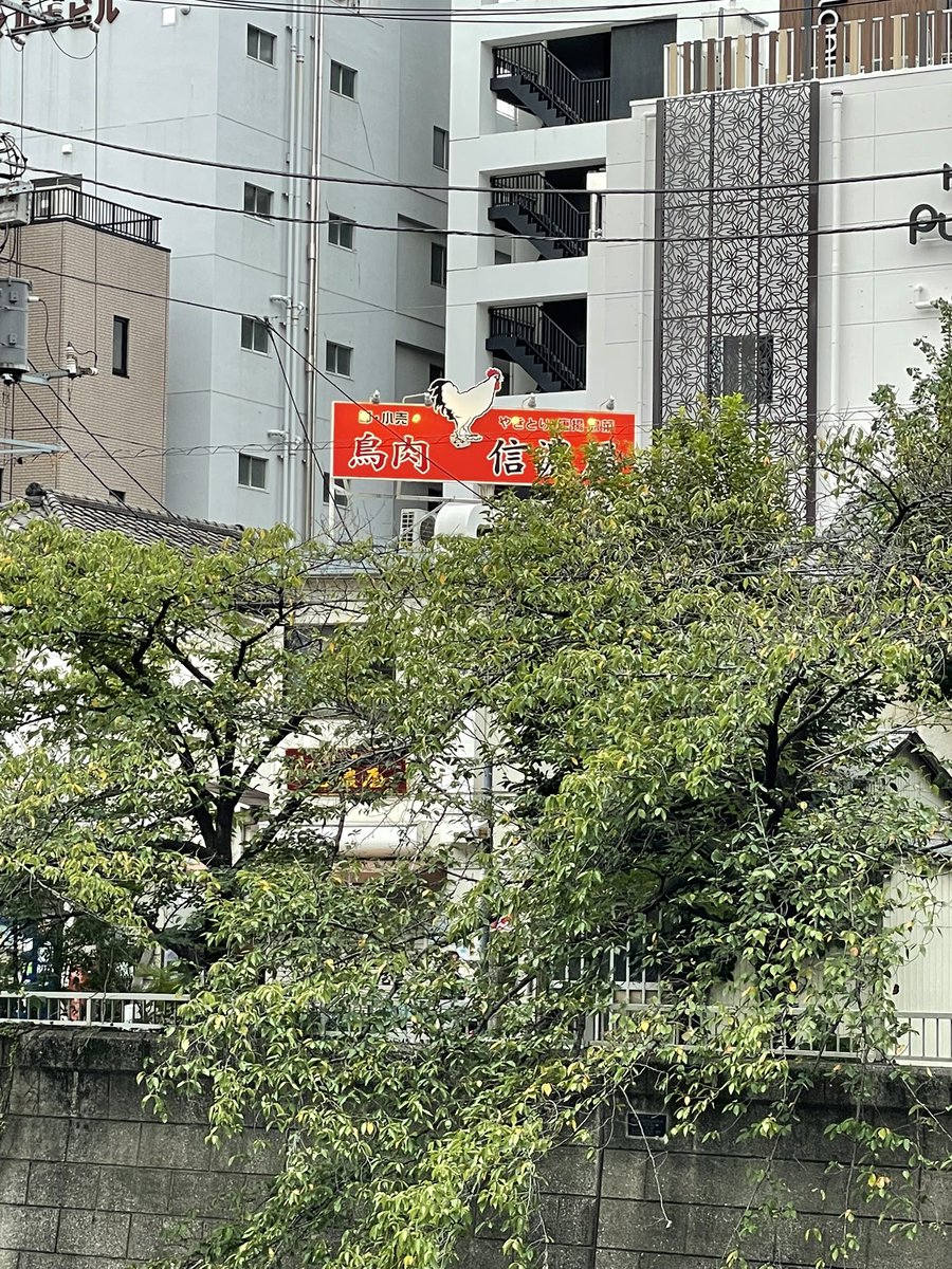 こういう店って絶対あたりだと思うな。