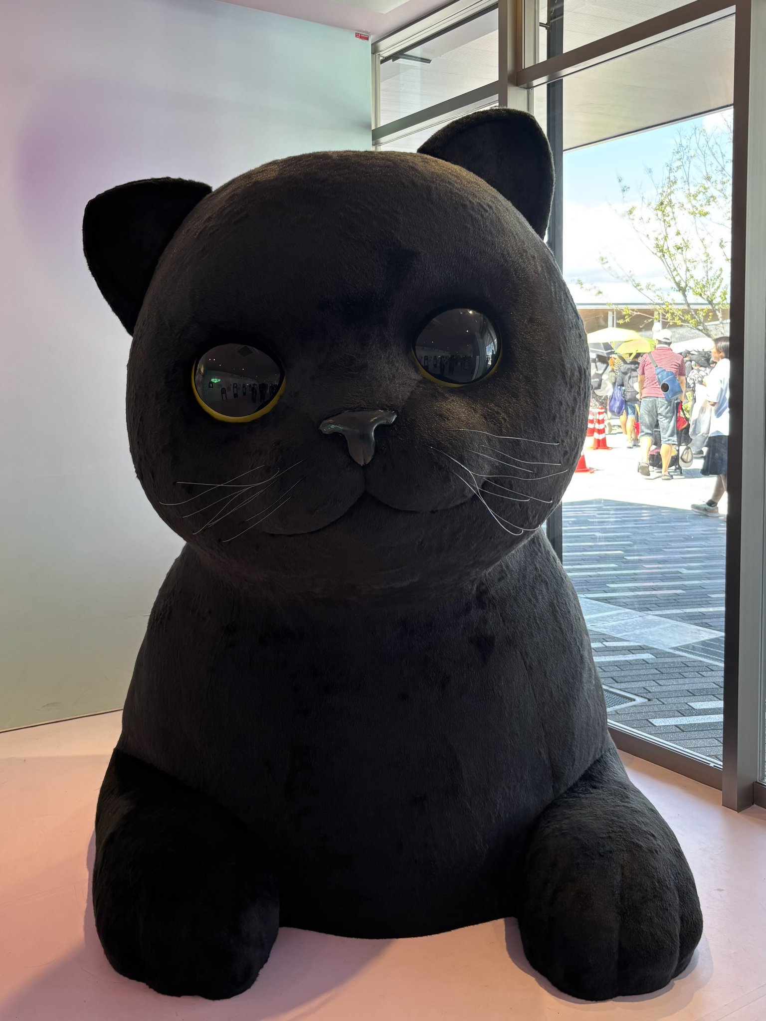 ねたろう( -ω-).｡oO旅に出たい on X: 