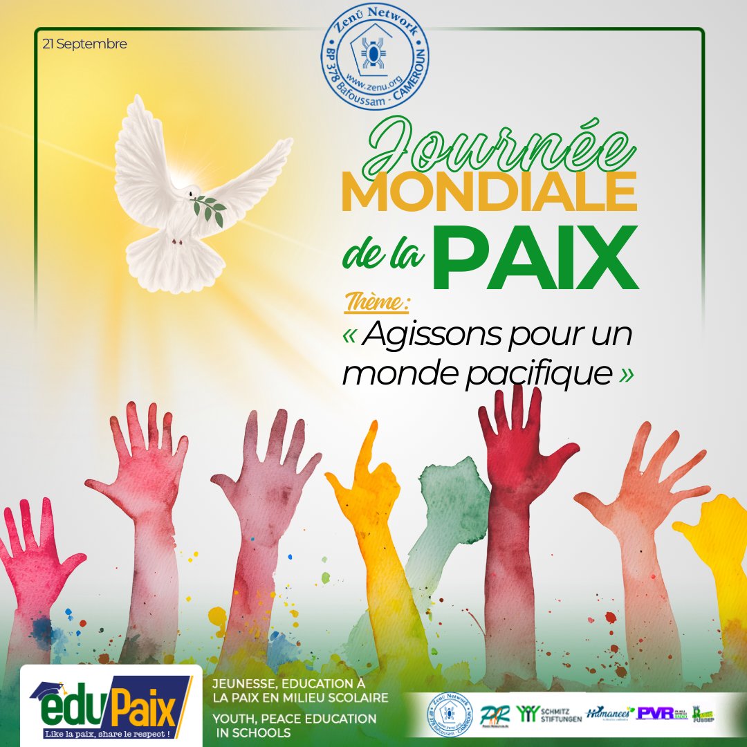 zenu network tweet media