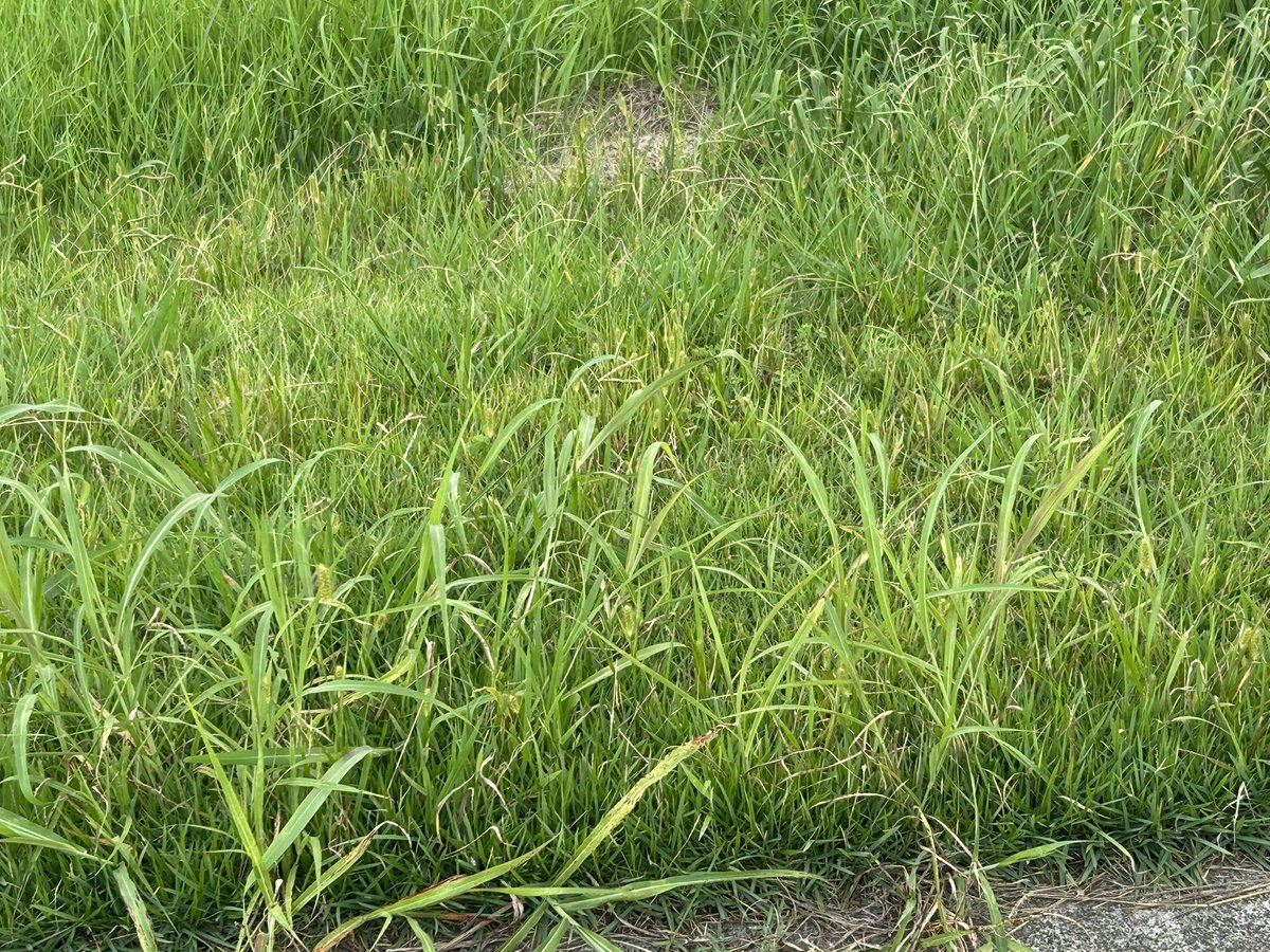 3zIxPwetGp94347's tweet image. 〜演者紹介〜
①
鉄☆ミルク
フルパワーヘルプ
希望マリア
リョウザンパク
かっぱ64
さおざんまい
首席
ラムダッシュ
だるまストーブ
オデュッセイア
洋服の青山テルマ
まかフシギ
牡蠣ミー
ハクウト
能率ランク
さくらこ
②省略
③よろしくお願いします！
④
