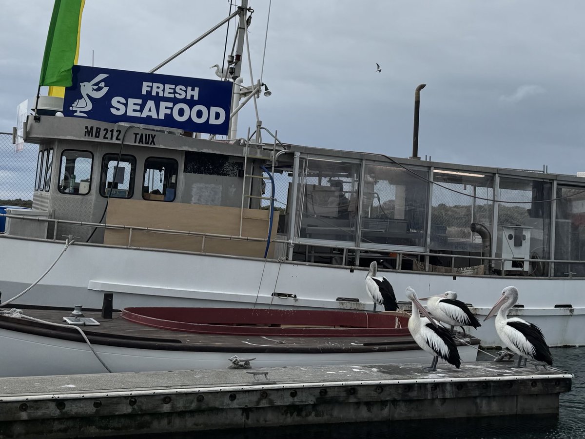 You can see how the logo originated