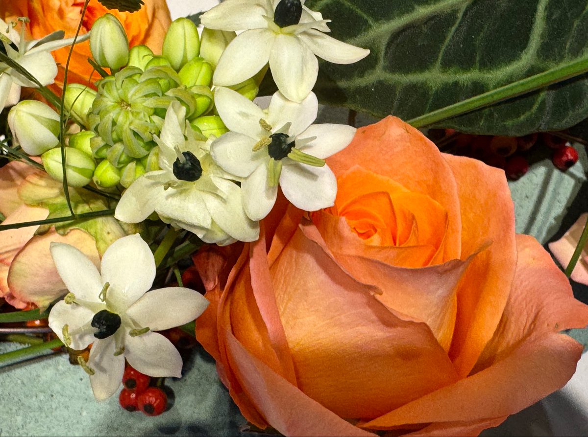 Guten Morgen und einen schönen Sonntag euch allen!
#kleineFreudendesTages 21.09.2025