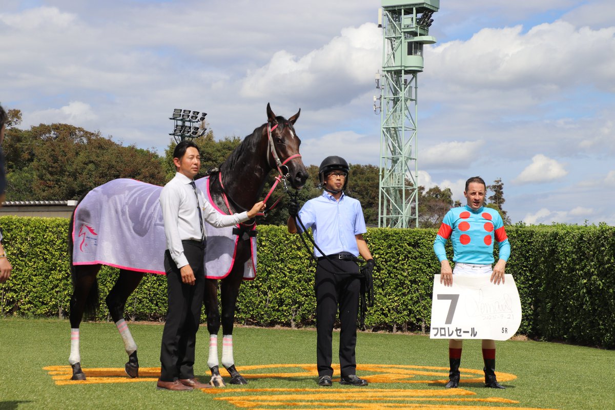 SILKHCofficial's tweet image. 【今日の1枚】@中山競馬場

デビュー戦を見事な走りで勝利した #フロレセール！

道中は物見をしたりと幼いところを見せつつも、後続に影を踏ませずそのまま先頭でゴール🏅

まだ奥がありそうですし、今後が楽しみですね🐴

皆様おめでとうございました🎉

#silkhc
#中山競馬場