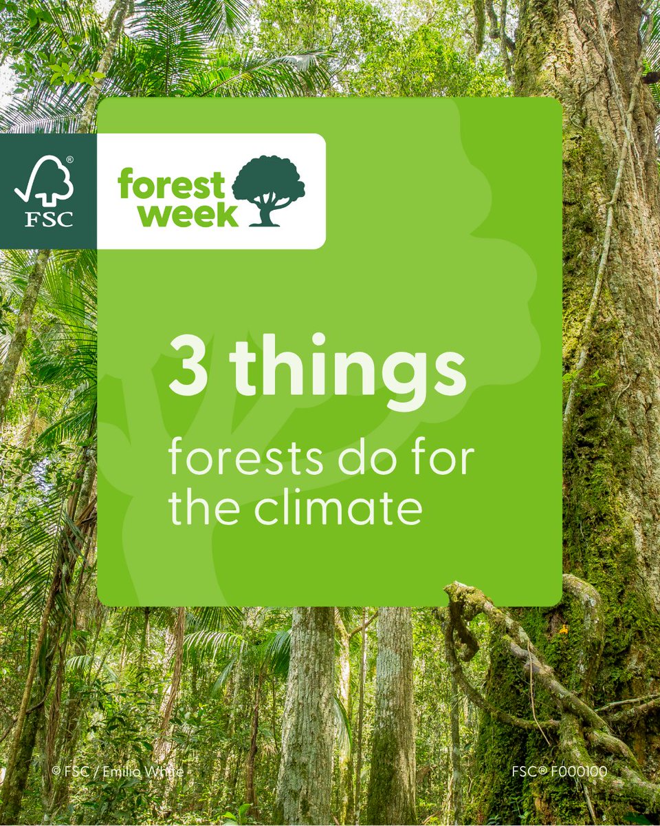 FSC_IC's tweet image. Forests absorb twice as much carbon as they emit annually, making them carbon sinks (@WorldResources). Forests are buffers against extreme weather events, increasing resilience

fsc.org/forestweek #FSCForestWeek