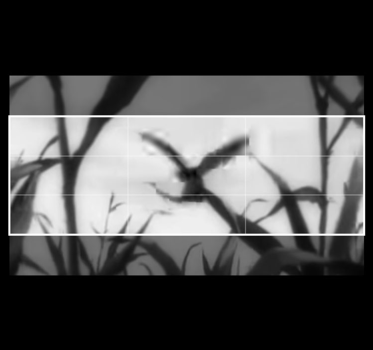 上手くヘッダーにおさまってる🦅笑　
最初に設定したら変更しない派(めんどくさい)🤣天膳もう打ってないからモンキー🐒の画像に変更するのもありかなと⁉️
でも推しが復活したときにすぐ分かるようにそのままに💖
29日🚀🌈or高◯(いそまるさん)を悩み中😭
27日は飲み会🍻✨28日も行きたかった🤡🍻‼️