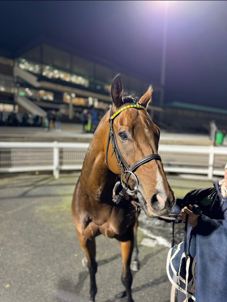 At the double once again today as Red Rifle and Showtime Mahomes head to <a href="/HamiltonParkRC/">Hamilton Park</a> for <a href="/granttuerracing/">Grant Tuer Racing</a> with <a href="/olistammers/">Oli Stammers</a> in the saddle. Red looks to build on his encouraging run last time out and Showtime rarely lets us down. Go well lads