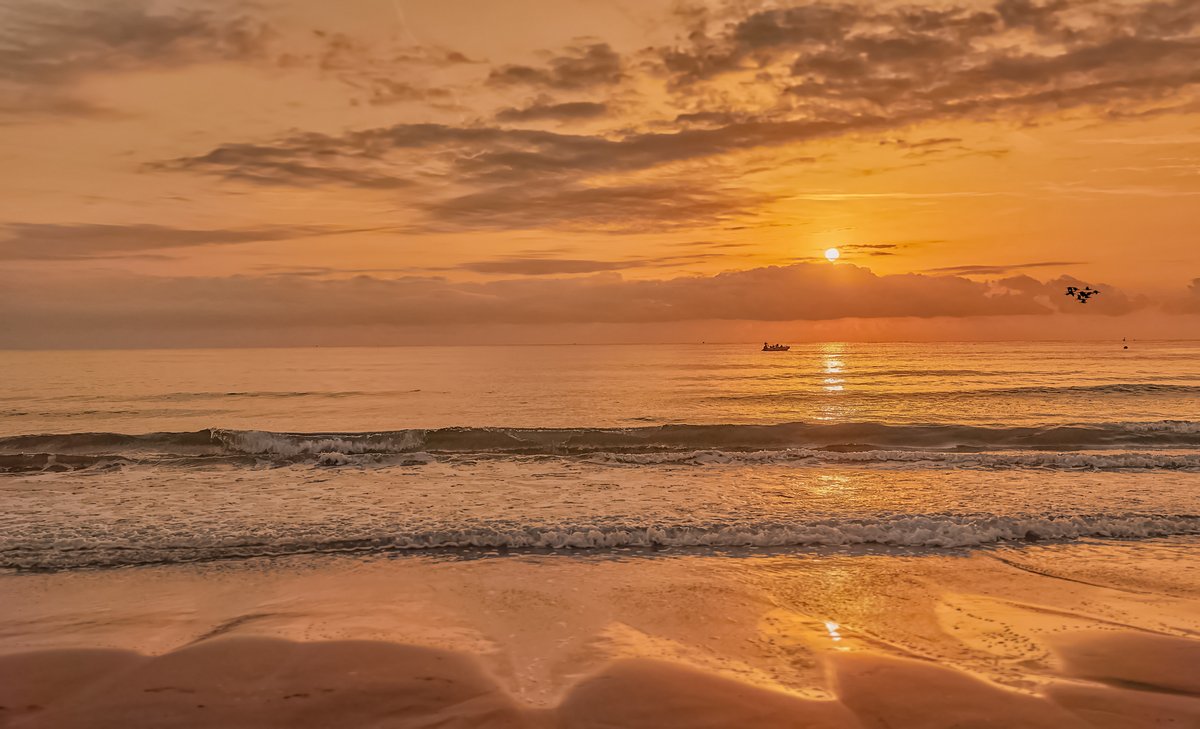 Álex Muñoz 📷 ☀🦇 💯 🧡 (@alexmuozgarc) on Twitter photo #BonDia 🌥️
#BuenosDías #bonito #amanecer en la #PlayadelasArenas #València
<a href="/MNievesSanchez1/">MNieves Sanchez 🌼⛅🌞🌛🌈📸</a> <a href="/rasalvi49/">Ramon Salvi</a> <a href="/xusvalencia/">Jesús🦇Martínez📸</a> <a href="/minervagra/">Minerva GG</a> <a href="/Pauquechu/">Quechu</a> <a href="/anamaria190977/">Ana María Herrero</a> <a href="/willgualas/">🇪🇸GUI🇪🇸</a> <a href="/sibilafc/">Silvia Ferrer</a> <a href="/meteocastuera/">Álvaro Hurtado ™ ⛈️ 🌬☔️⚡️📸📹</a> <a href="/RAM_meteo/">RAM: Revista del Aficionado a la Meteorología</a> <a href="/ame_asociacion/">AME Asociación</a> <a href="/MeteoSE/">AMETSE</a> <a href="/ecazatormentas/">Cazatormentas</a> #BonDia 🌥️
#BuenosDías #bonito #amanecer en la #PlayadelasArenas #València
<a href="/MNievesSanchez1/">MNieves Sanchez 🌼⛅🌞🌛🌈📸</a> <a href="/rasalvi49/">Ramon Salvi</a> <a href="/xusvalencia/">Jesús🦇Martínez📸</a> <a href="/minervagra/">Minerva GG</a> <a href="/Pauquechu/">Quechu</a> <a href="/anamaria190977/">Ana María Herrero</a> <a href="/willgualas/">🇪🇸GUI🇪🇸</a> <a href="/sibilafc/">Silvia Ferrer</a> <a href="/meteocastuera/">Álvaro Hurtado ™ ⛈️ 🌬☔️⚡️📸📹</a> <a href="/RAM_meteo/">RAM: Revista del Aficionado a la Meteorología</a> <a href="/ame_asociacion/">AME Asociación</a> <a href="/MeteoSE/">AMETSE</a> <a href="/ecazatormentas/">Cazatormentas</a>