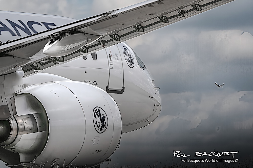 L’<a href="/Airbus/">Airbus</a> A220 F-HZUT "Bandol" d’@AirFrance s'apprête à s’élancer vers le ciel, guidé par un oiseau libre qui semble lui ouvrir la voie… Symbole d’élégance et d’harmonie entre l’ingénierie et la nature ! <a href="/AirFranceFR/">Air France FR</a> #afgeek #avgeek #avgeeks #aviationdaily #aviationgeek #A220