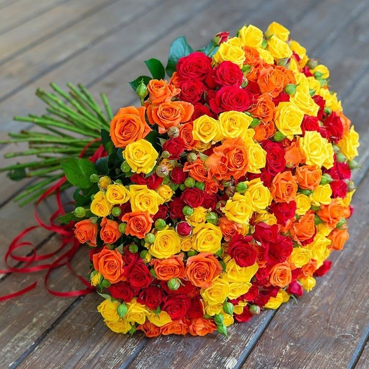 Xylonature (@xylonature) on Twitter photo 