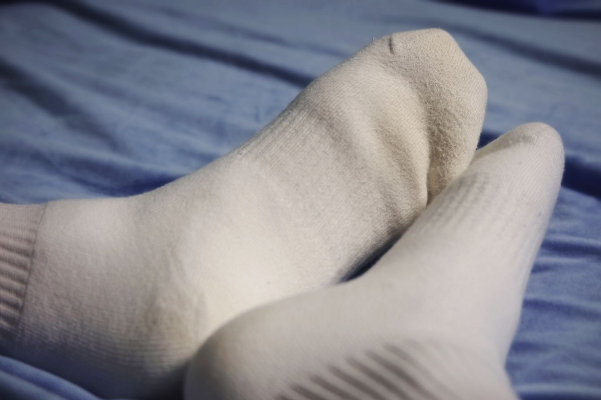 有股鱼腥味owo🔜兽行迹 🎶主题曲/官方乐团 (@fishyfizz3) on Twitter photo 