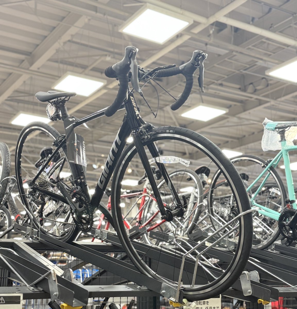 fue202308's tweet photo. ロードバイク欲しいなぁ•••
初ロードバイクに〜
ジャイアントのコンテンド2が良いかも🤔
お小遣いが足りないけど😅
#CONTEND2 https://t.co/JvPoXBzlm3