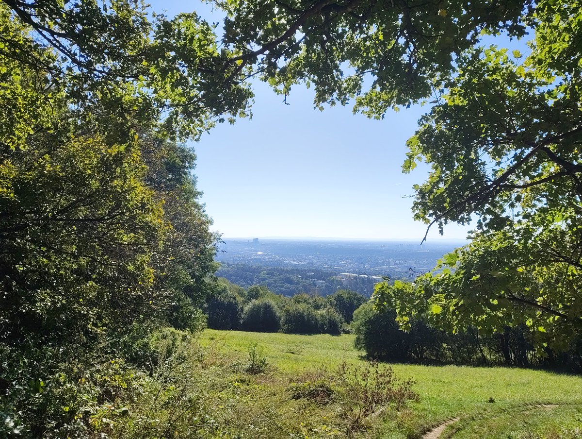Manchmal vergisst man wie viel Natur Wien umgibt 🥰