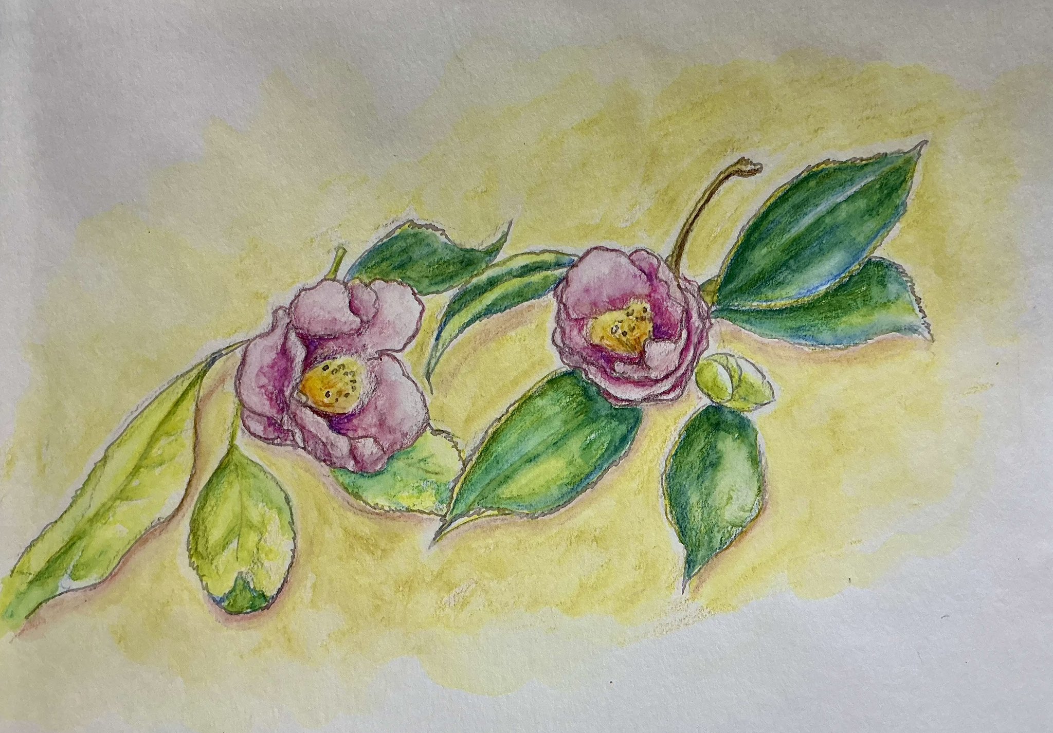 自作絵画 原画【ヒヤシンス】水彩画 色鉛筆画 自作絵画 原画【ヒヤシンス】水彩画 色鉛筆画 自作絵画 原画