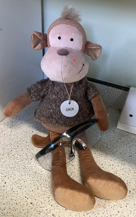 Hello to all my Earls family! I just wanted to introduce myself; my name is Gwen the Science monkey.  I work here in The Earls Science department. I am going to be keeping you up to date with everything that goes on in the Science Department at the school. It’s very exciting!