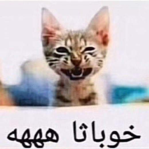 نـ!!!!!يف tweet media