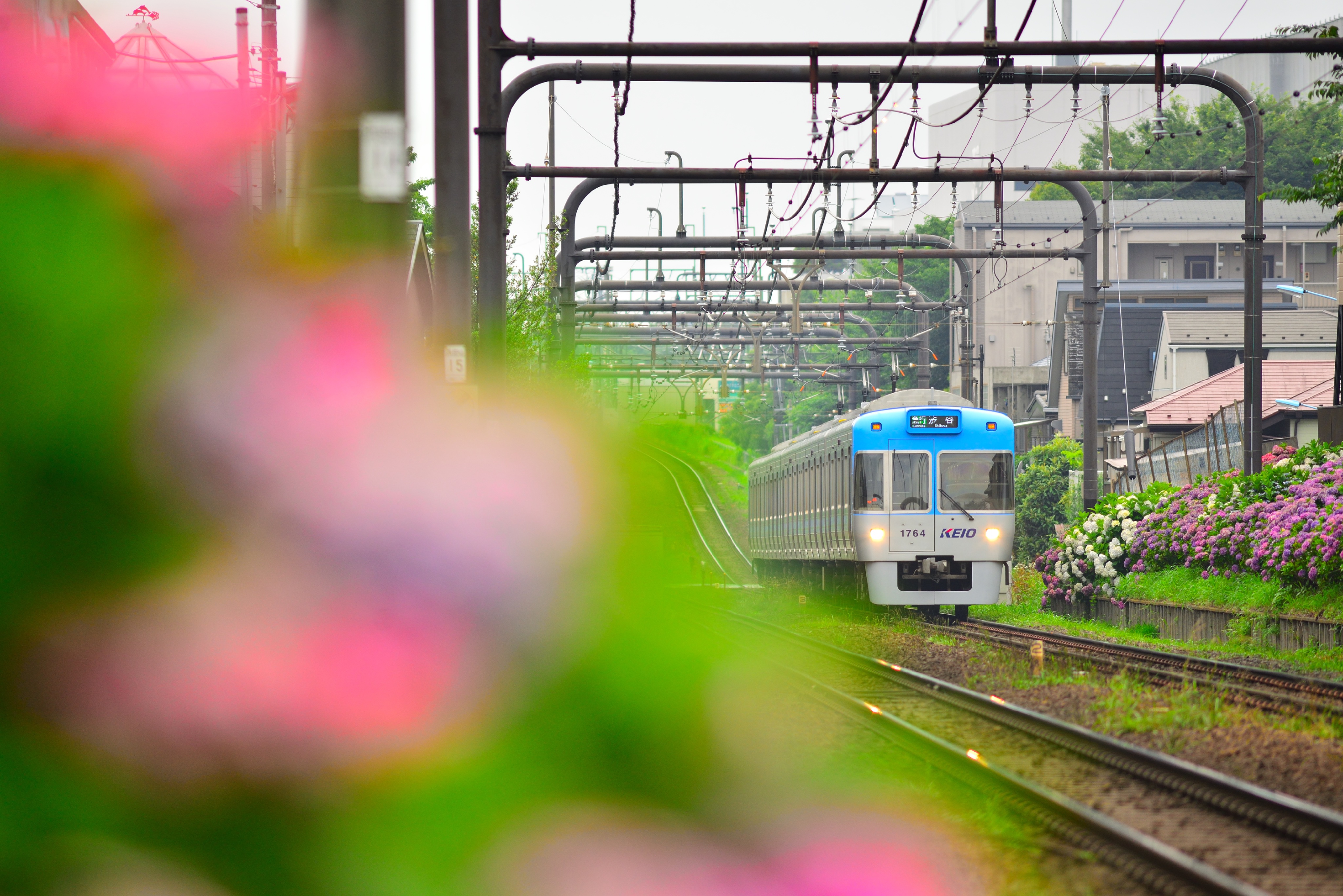 マッスーページ BASE UPDATE】 90's Harley-Davidson L/S Tee Size XL (身幅63cm