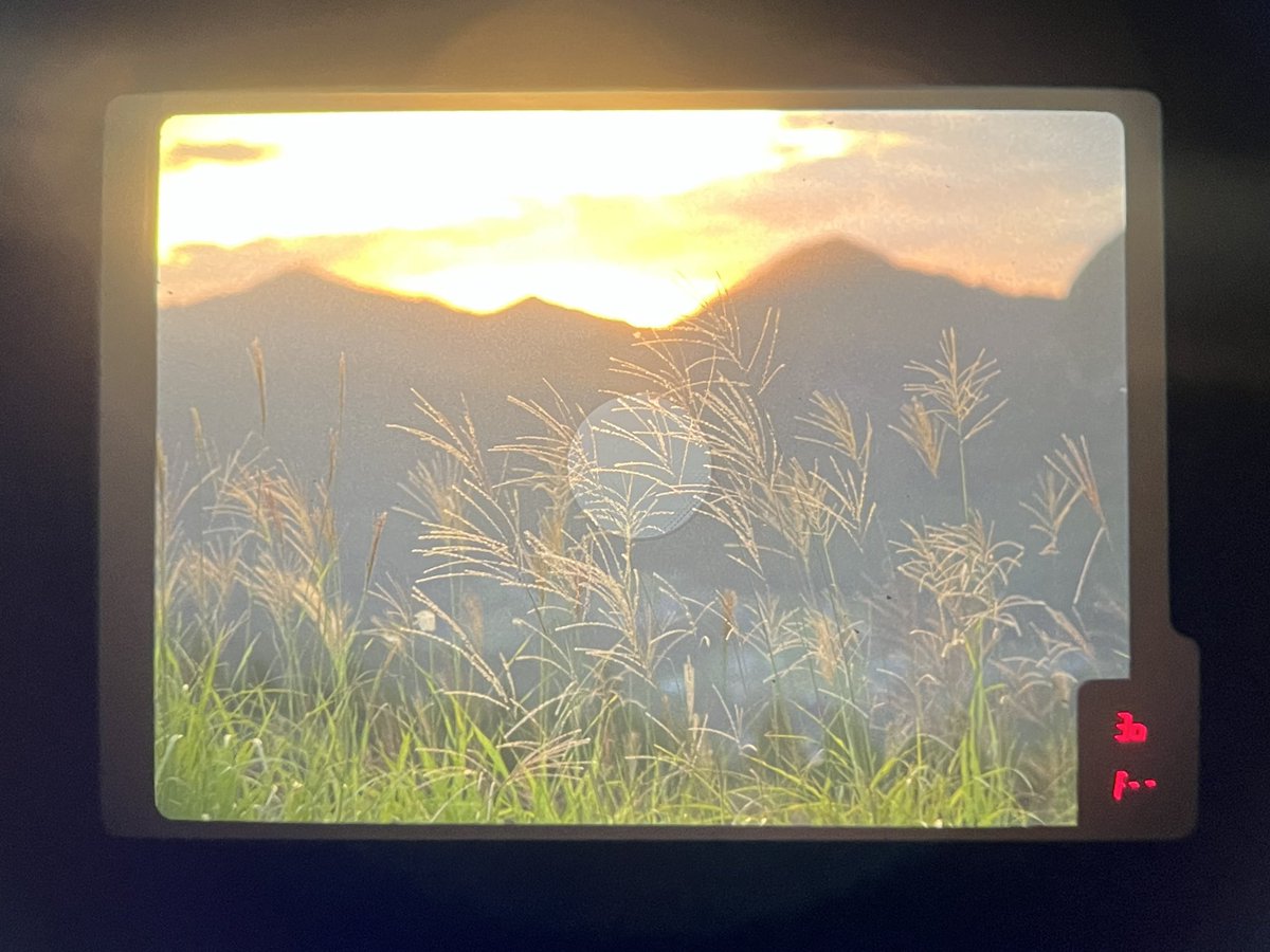 sasakki_69's tweet photo. 少し時期は早いけど曽爾高原!
やっぱり645はかっこいいし、ファインダーが最高🤤
#film
#pentax645 https://t.co/eXtAALUJ6l