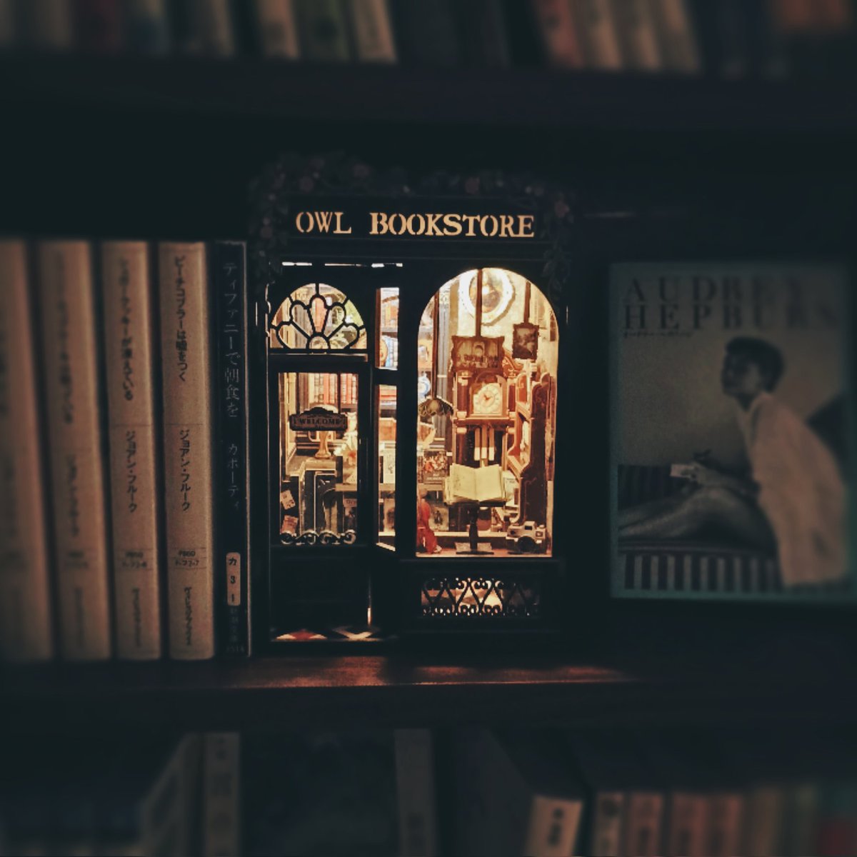 誕生日プレゼントで買ってもらったブックヌック、完成しました✨本棚の中の本屋さん📚️