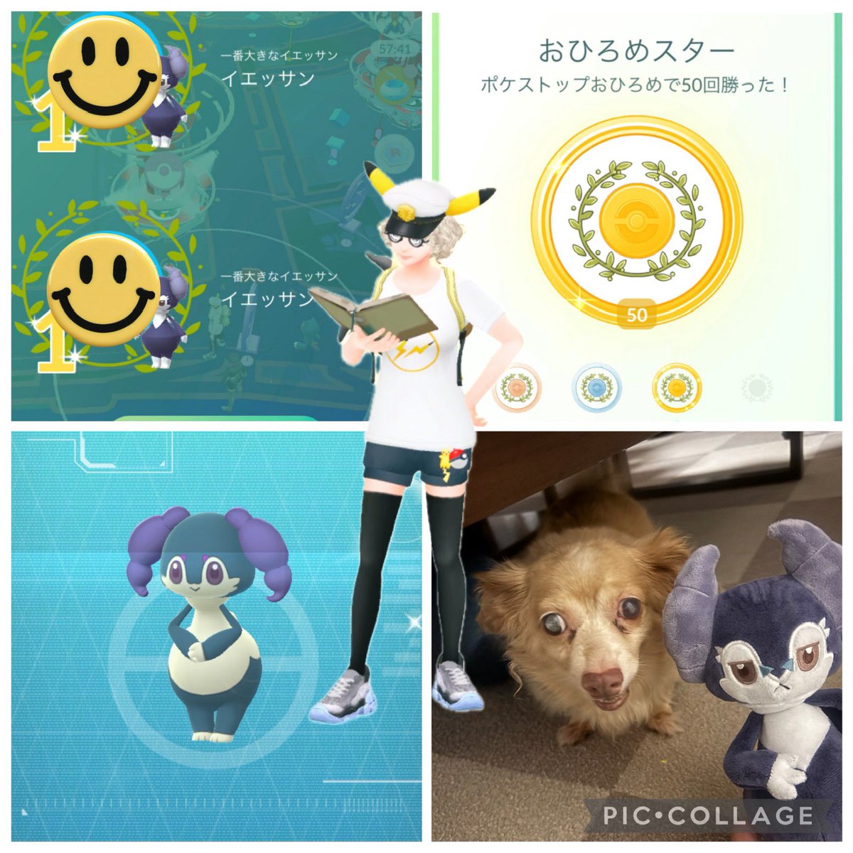 やーっとおひろめ50勝👑
ドクターピカポーズやっとゲット出来て嬉しい🥰
私にしては卵割り頑張ったのに5km卵が出なさすぎてイエッサン4匹しかゲット出来なかった🥲
でも1位が2ヶ所と♀の色違い出たから優勝🏆🥳