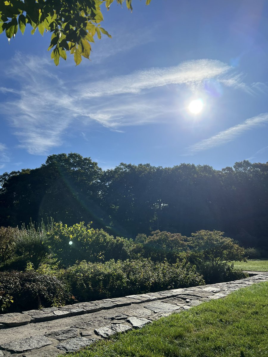 CSR4Development's tweet image. #tweetmyview 💜