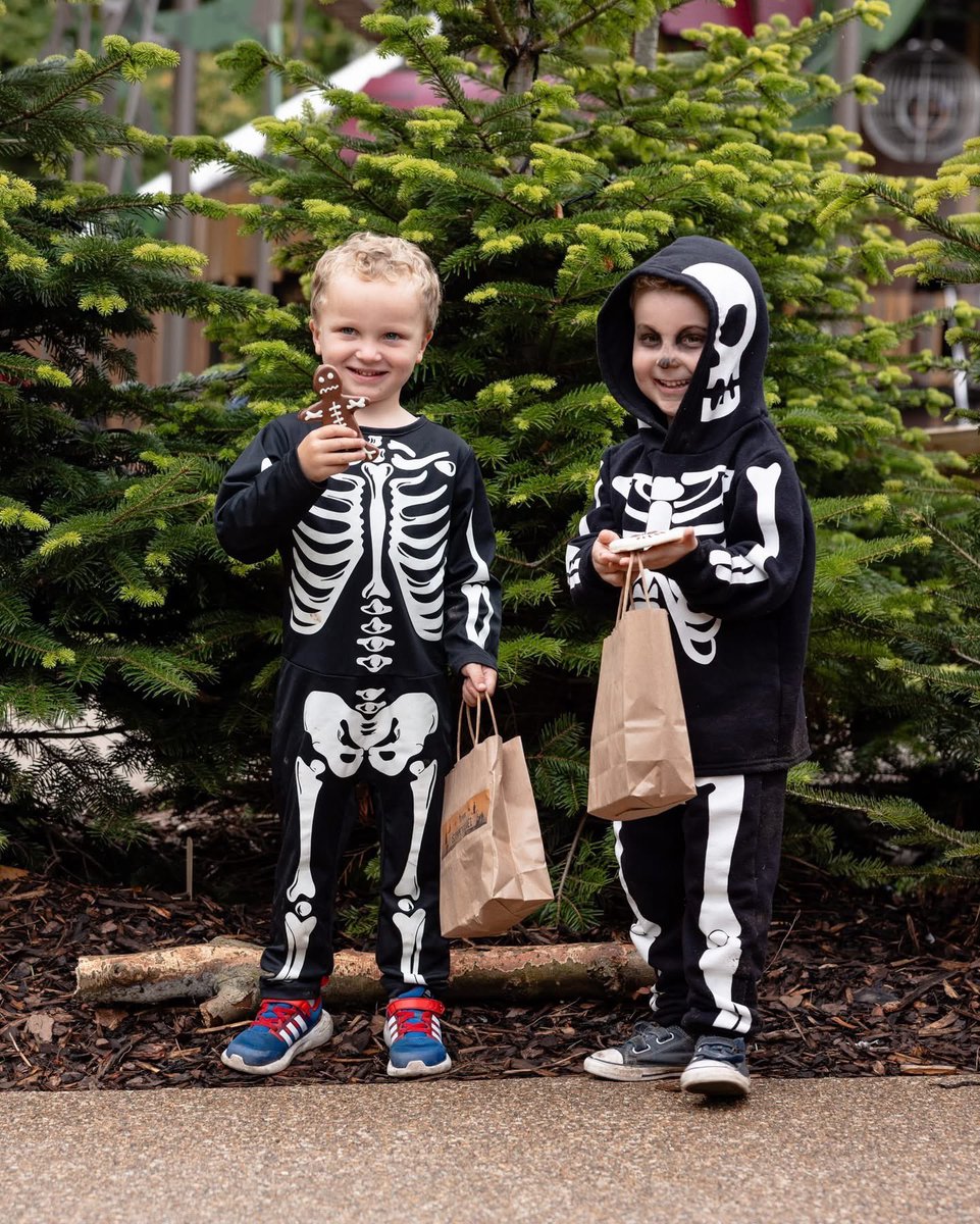 Spookydorei returns to Lilidorei this Halloween on October 8th 🤩🎃

🌙 Will you be brave enough to walk the spooky path? Or will you walk the scardey cat's not-so-spooky path?

BOO-kings are now OPEN, if you dare.... lilidoreialnwick.co.uk/events/spookyd…