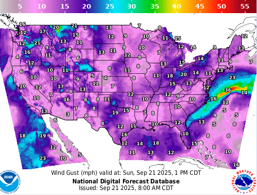 Fantasy Forecasts tweet media