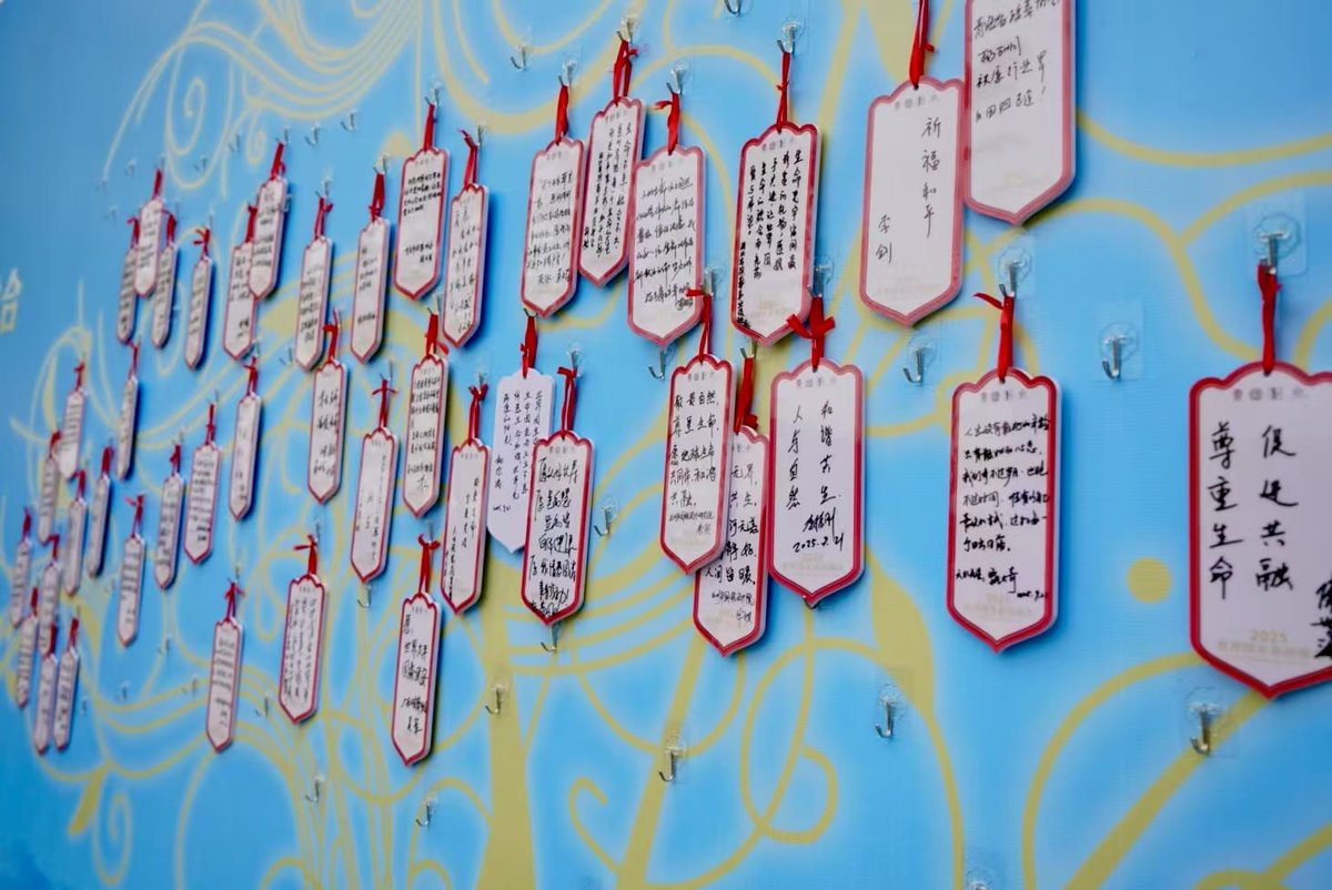 MUPLV's tweet image. #China Gansu   Provincial Association y Tianshui Cultural Memorial Park